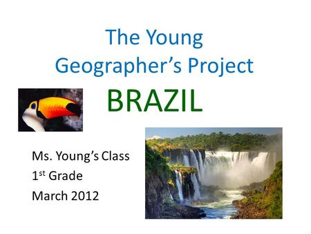 The Young Geographer’s Project BRAZIL Ms. Young’s Class 1 st Grade March 2012.