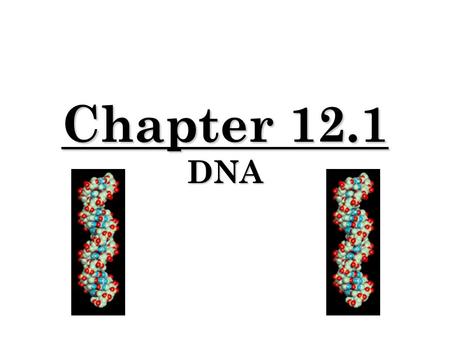 Chapter 12.1 DNA. Genetics Recap Mendel, through his experiments, concluded that a organism’s traits are a result of the inheritance of genes from that.