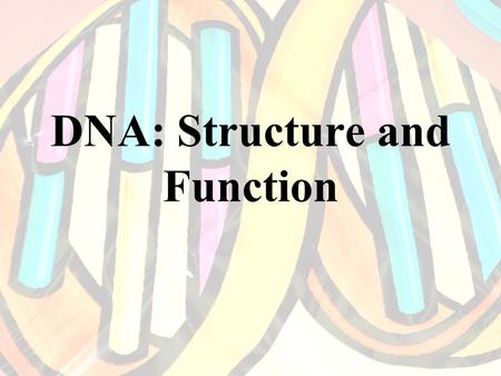 DNA: Structure and Function. DNA Structure Deoxyribonucleic acid. A macromolecule composed of two strands of monomers called nucleotides. These strands.