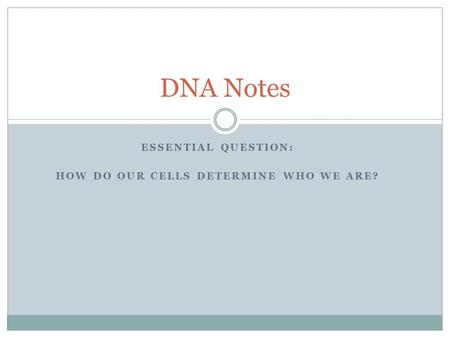 ESSENTIAL QUESTION: HOW DO OUR CELLS DETERMINE WHO WE ARE? DNA Notes.