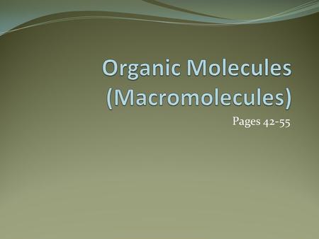 Pages 42-55. Macromolecules Organic molecules; they all contain carbon Carbohydrates (Polysaccharides) Lipids (fats) Proteins Nucleic Acids (DNA/RNA/ATP-ADP)