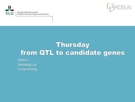 Thursday from QTL to candidate genes Xidan Li Xiaodong Liu DJ de Koning.