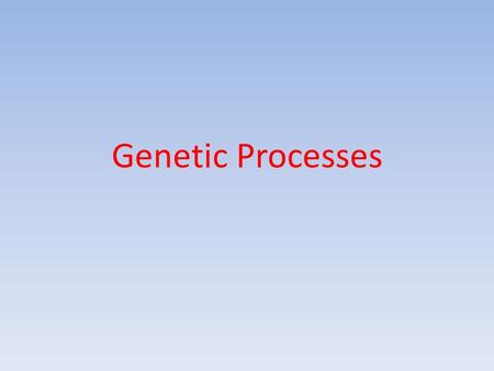 Genetic Processes. Origins Of Diversity Genetic material is what determines the difference between you, your siblings, friends, pets, plants, and everything.
