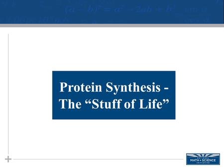 Protein Synthesis - The “Stuff of Life”