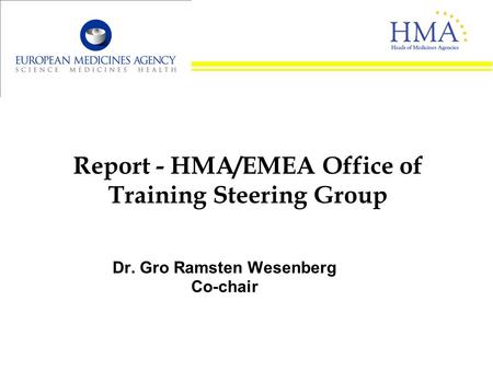 Report - HMA/EMEA Office of Training Steering Group Dr. Gro Ramsten Wesenberg Co-chair.