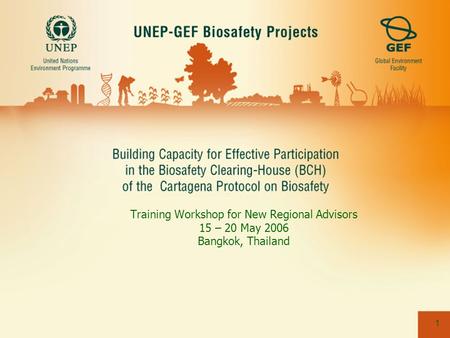 1 Training Workshop for New Regional Advisors 15 – 20 May 2006 Bangkok, Thailand.