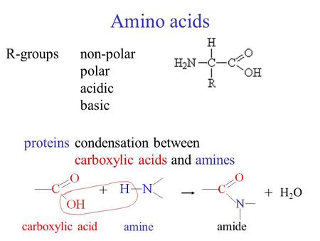 Amino acids R-groupsnon-polar polar acidic basic proteinscondensation between carboxylic acids and amines + + H2OH2O carboxylic acid amine amide.