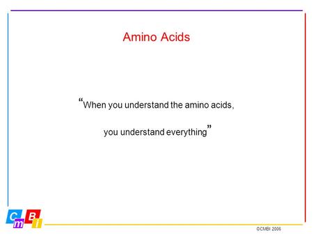 ©CMBI 2006 Amino Acids “ When you understand the amino acids, you understand everything ”
