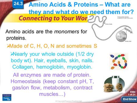 End Show © Copyright Pearson Prentice Hall Slide 1 of 31 24.3 Amino Acids & Proteins – What are they and what do we need them for? Amino acids are the.