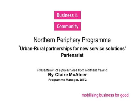 Mobilising business for good Northern Periphery Programme ‘ Urban-Rural partnerships for new service solutions’ Partenariat Presentation of a project idea.