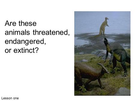 Are these animals threatened, endangered, or extinct? Lesson one.