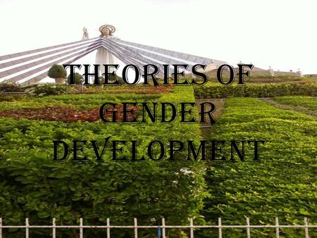 THEORIES OF GENDER DEVELOPMENT. GENDER DEVELOPMENT: Being born a girl or a boy has implications that carry considerably beyond the chromosomal, hormonal,