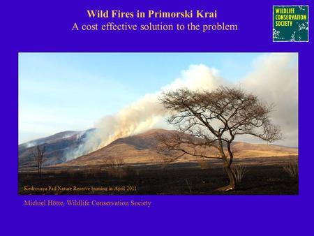Wild Fires in Primorski Krai A cost effective solution to the problem Kedrovaya Pad Nature Reserve burning in April 2011 Michiel Hötte, Wildlife Conservation.