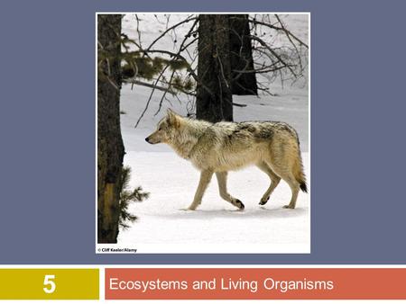 Ecosystems and Living Organisms 5 © 2012 John Wiley & Sons, Inc. All rights reserved. Overview of Chapter 5  Evolution: How Populations Change Over.