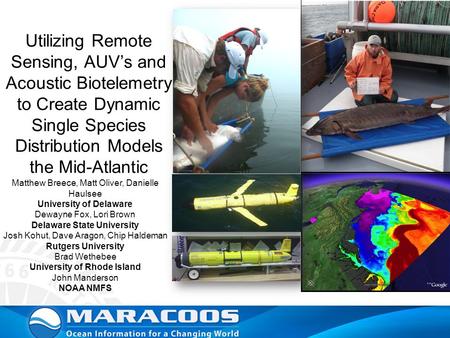 Utilizing Remote Sensing, AUV’s and Acoustic Biotelemetry to Create Dynamic Single Species Distribution Models the Mid-Atlantic Matthew Breece, Matt Oliver,