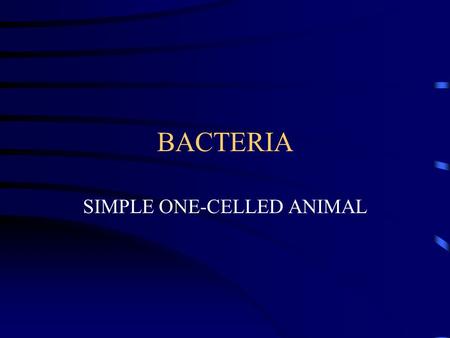 BACTERIA SIMPLE ONE-CELLED ANIMAL. COCCI ROUND OR SPHERICAL IN SHAPE.