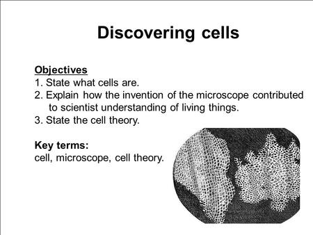Click the SciLinks button for links on the cell theory.