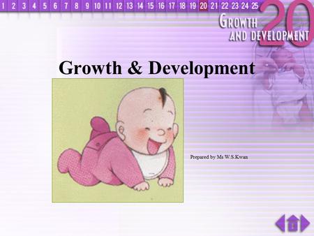 Growth & Development Prepared by Ms W.S.Kwan What is Growth ? A permanent increase in size, weight & complexity of an organism.