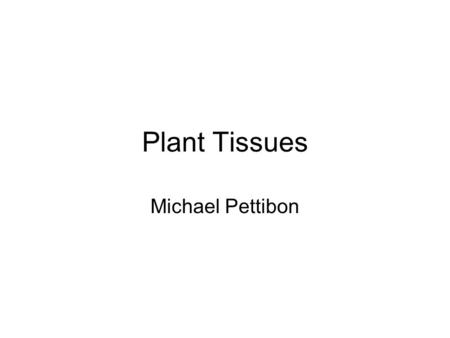 Plant Tissues Michael Pettibon. Concept of Tissue.