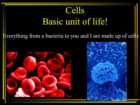 Cells Basic unit of life! Everything from a bacteria to you and I are made up of cells.