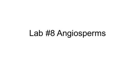 Lab #8 Angiosperms.
