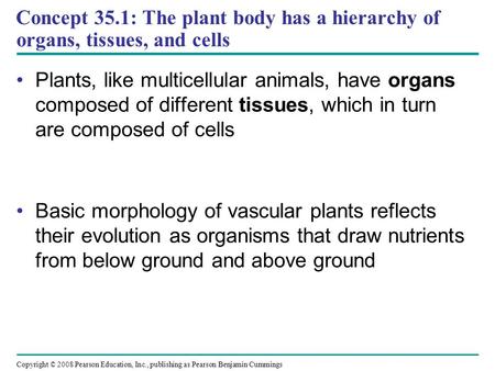 Copyright © 2008 Pearson Education, Inc., publishing as Pearson Benjamin Cummings Concept 35.1: The plant body has a hierarchy of organs, tissues, and.