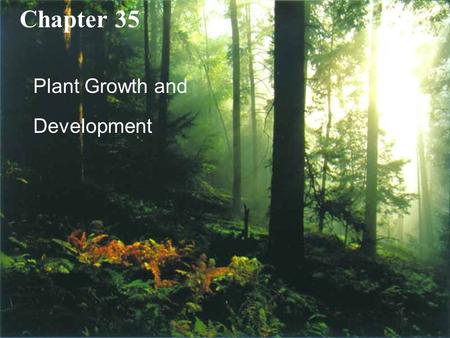 Copyright © 2005 Pearson Education, Inc. publishing as Benjamin Cummings Chapter 35 Plant Growth and Development.