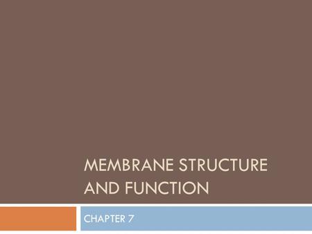 MEMBRANE STRUCTURE AND FUNCTION CHAPTER 7. Life on the Edge  Plasma membranes serve as the boundary between the living cell and the non-living environment.