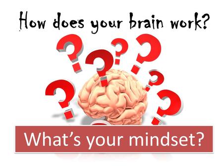 How does your brain work? What’s your mindset?.