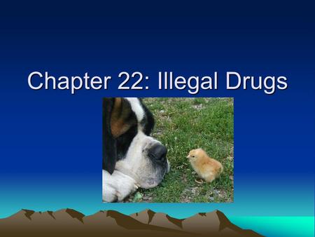 Chapter 22: Illegal Drugs