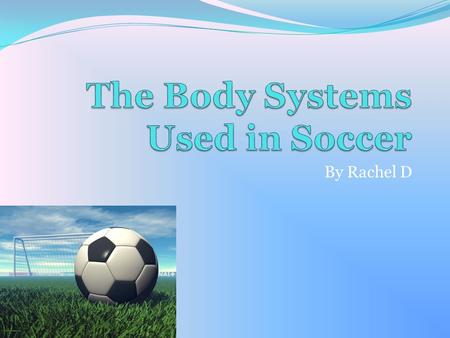The Body Systems Used in Soccer