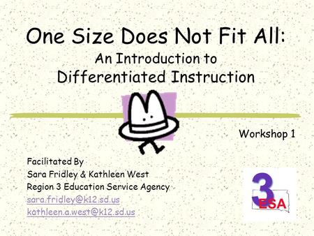 One Size Does Not Fit All: An Introduction to Differentiated Instruction Facilitated By Sara Fridley & Kathleen West Region 3 Education Service Agency.