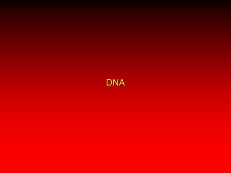 DNA. Genetics & DNA DNA: Picture 51  B-DNA: The advent of modeling