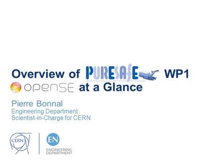 Overview of WP1 at a Glance Pierre Bonnal Engineering Department Scientist-in-Charge for CERN.