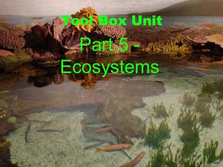 Tool Box Unit Part 5 - Ecosystems. Formed by the interaction of plant life, animal life and the physical environment in which they live Ecosystem.