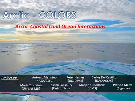 Arctic-Coastal Land Ocean Interactions Antonio Mannino (NASA/GSFC) Peter Hernes (UC, Davis) Carlos Del Castillo (NASA/GSFC) Maria Tzortziou (Univ. of MD)