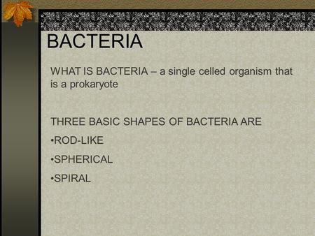 BACTERIA WHAT IS BACTERIA – a single celled organism that is a prokaryote THREE BASIC SHAPES OF BACTERIA ARE ROD-LIKE SPHERICAL SPIRAL.