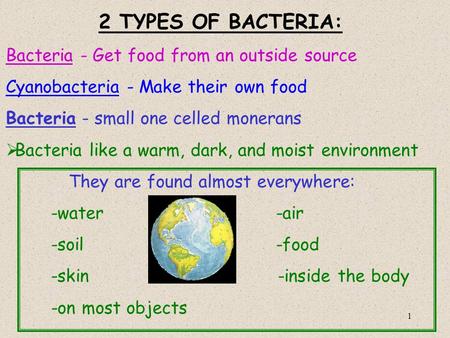 2 TYPES OF BACTERIA: Bacteria - Get food from an outside source