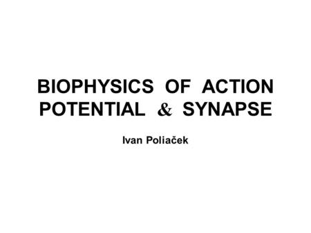 BIOPHYSICS OF ACTION POTENTIAL & SYNAPSE