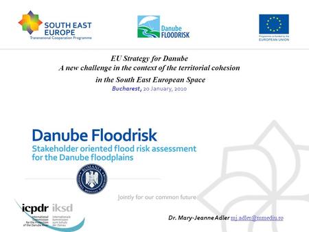 EU Strategy for Danube A new challenge in the context of the territorial cohesion in the South East European Space Bucharest, 20 January, 2010 Dr. Mary-Jeanne.