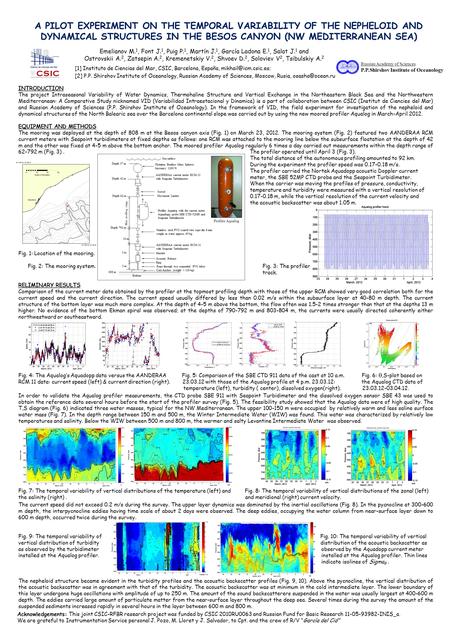 A PILOT EXPERIMENT ON THE TEMPORAL VARIABILITY OF THE NEPHELOID AND DYNAMICAL STRUCTURES IN THE BESOS CANYON (NW MEDITERRANEAN SEA) [1] Instituto de Ciencias.