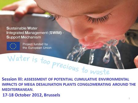 Session III: Assessment of potential cumulative environmental impacts of mega desalination plants conglomerating around the Mediterranean. 17-18 October.