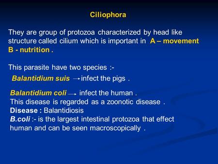Ciliophora They are group of protozoa characterized by head like structure called cilium which is important in A – movement B - nutrition . This parasite.