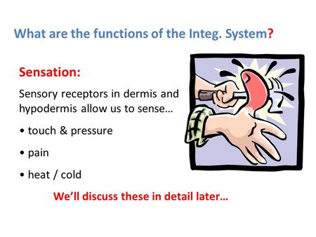 What are the functions of the Integ. System?