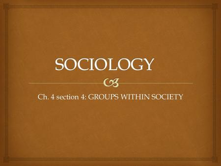 Ch. 4 section 4: GROUPS WITHIN SOCIETY.   Defined : a set of people who interact on shared expectations and possess some common identity. What is a.