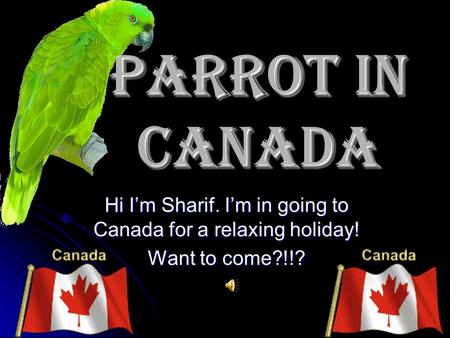Parrot in Canada Hi I’m Sharif. I’m in going to Canada for a relaxing holiday! Want to come?!!?