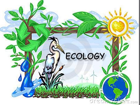 Ecology- energy transfer the scientific study of interactions between organisms and their environments, focusing on energy transfer  It is a science.