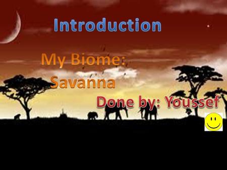 Introduction My Biome: Savanna