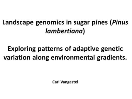 Landscape genomics in sugar pines (Pinus lambertiana) Exploring patterns of adaptive genetic variation along environmental gradients. Carl Vangestel.