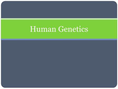 Human Genetics. Heredity The passing-down of traits from parent to child through genes, which are located in chromosomes. Such traits are said to be inherited.